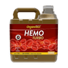 Sem titulo-31